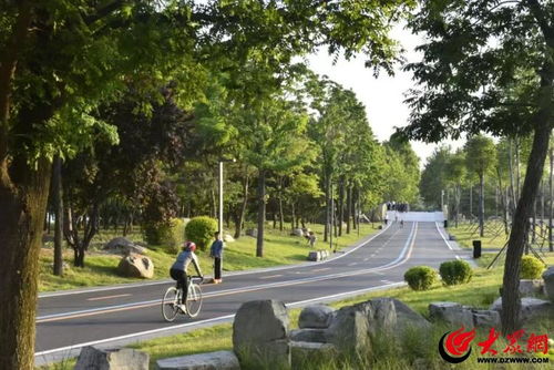 2024年濰坊 匠心鑄就景觀優(yōu)美、生態(tài)良好的城市園林綠化新格局