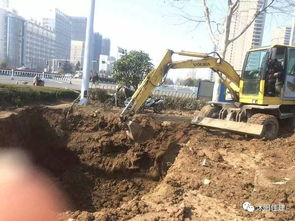 取消園林綠化施工資質后，如何加強園林企業資質管理